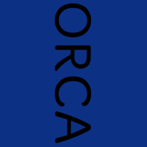Kid's Simple Orca Tee Design